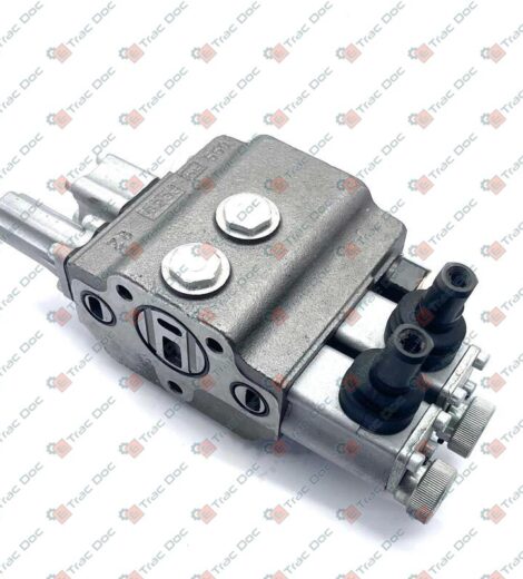 DISTRIBUTORE A 2 ELEMENTI - LANDINI - 3689904M93