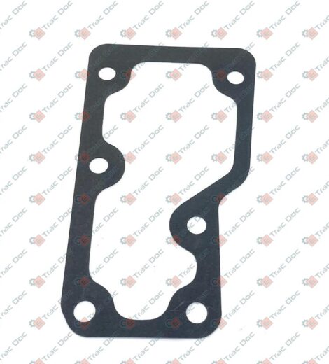 GUARNIZIONE - LANDINI - 6679062A1
