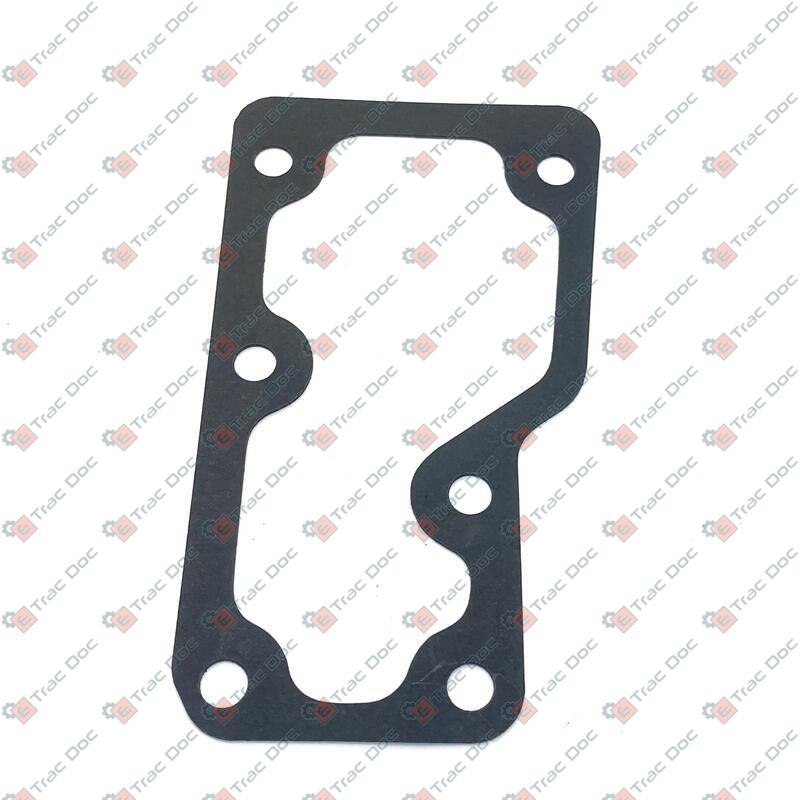 GUARNIZIONE - LANDINI - 6679062A1
