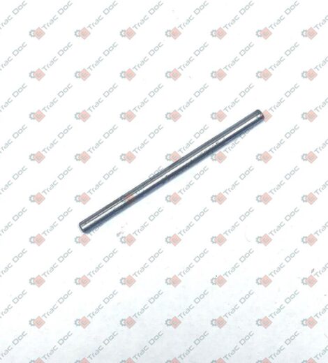 PIN - LANDINI - 3648868M1