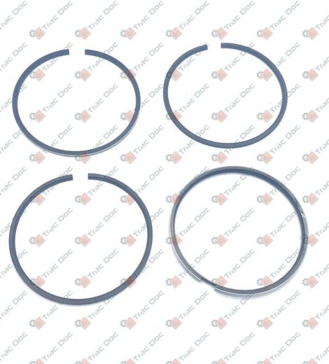 SERIE FASCE ELASTICHE - LANDINI - 6677201A1