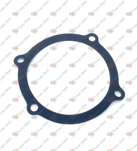 WATER PUMP GASKET - LANDINI - 6679010A1