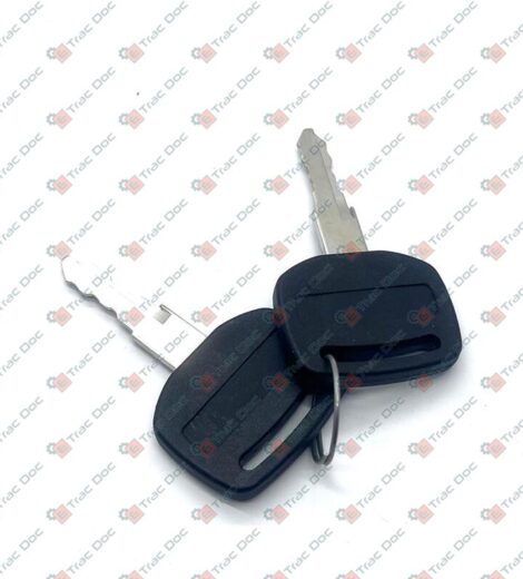 COPPIA CHIAVI QUADRO AVVIAMENTO - LANDINI - 705361A1