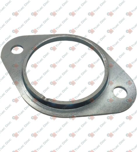 FLANGIA SUPPORTO RIV PFT80 - GOLDONI - 00021090