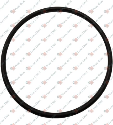 ANELLO OR - KUHN - 82065459