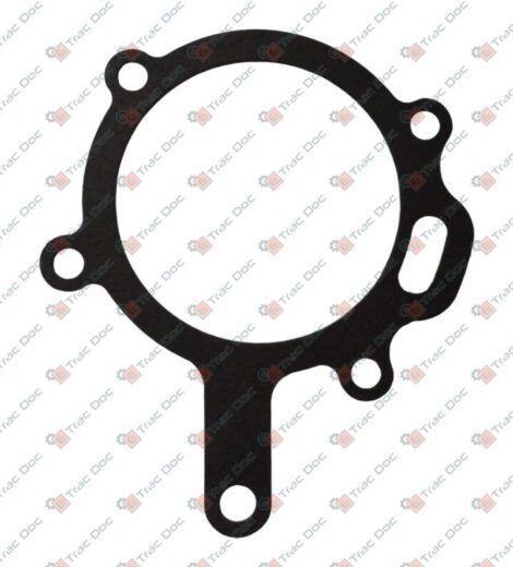 GUARNIZIONE - LANDINI - 6679090A1