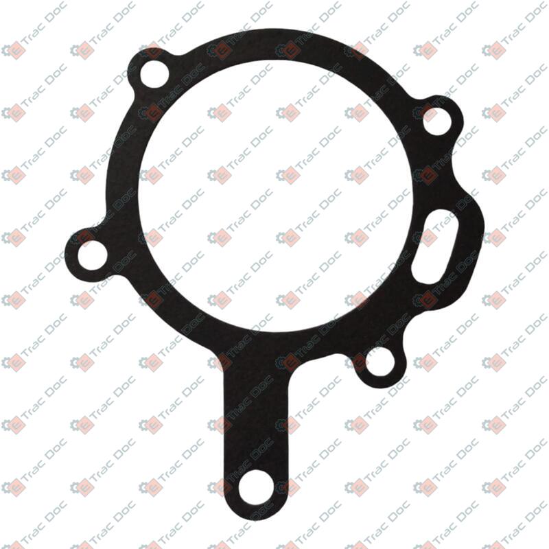 GUARNIZIONE - LANDINI - 6679090A1
