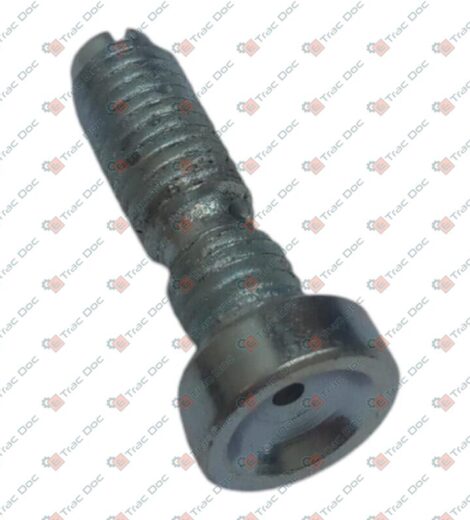 VITE REGISTRAZIONE BILANCIERE - AFTERMARKET - 0.311.1434.0