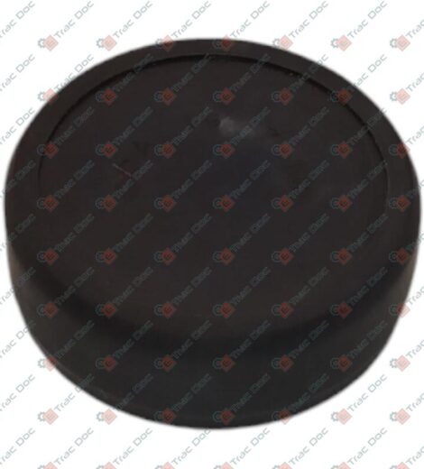 SEALING COVER DIAMETER 19 mm. - GOLDONI - 00031384