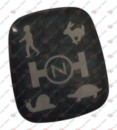 CALOTTA LEVA RIDUTTORE A 4 GAMME - GOLDONI - 00045967