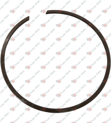 ANELLO ELASTICO - LANDINI - 3019358X1