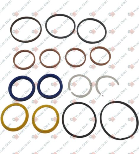 SERIE GUARNIZIONI CILINDRO IDROGUIDA - LANDINI - 3654604M91