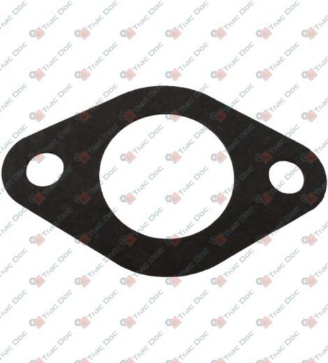GUARNIZIONE - LANDINI - 6677005A1