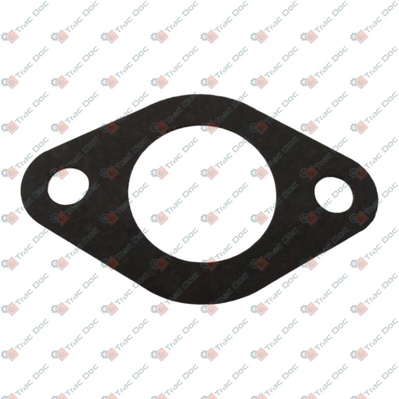 GUARNIZIONE - LANDINI - 6677005A1