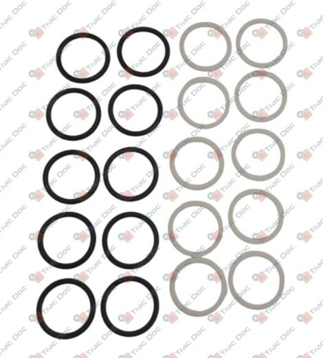 SERIE ANELLI TENUTA INNESTO PRESA IDRAULICA FEMMINA - SAME - LAMBORGHINI - HURLIMANN - DEUTZ FAHR - 0.900.2063.2