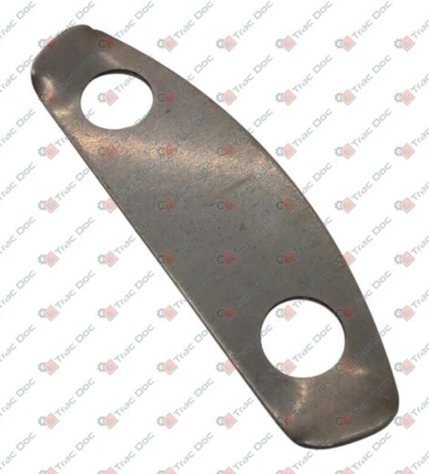 PIASTRINA DI SISCUREZZA - ANTONIO CARRARO - 6046003