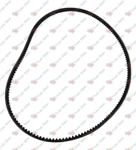 CINGHIA TRAPEZOIDALE DENTATA - GOLDONI - 06330097