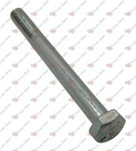 VITE - LANDINI - 0096239