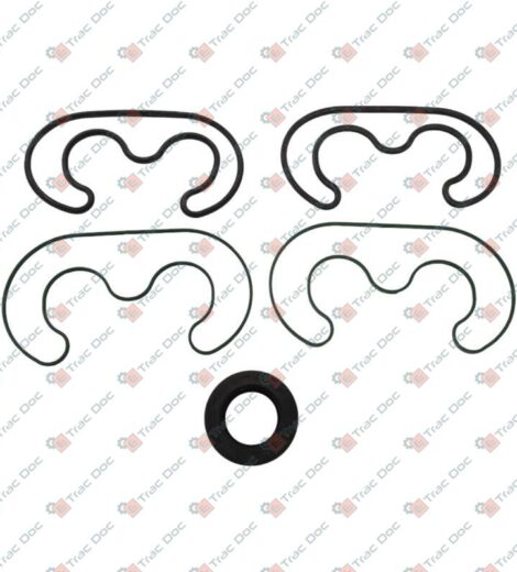 SERIE GUARNIZIONI POMPA IDRAULICA Mc CORMICK - LANDINI - 1502030C1