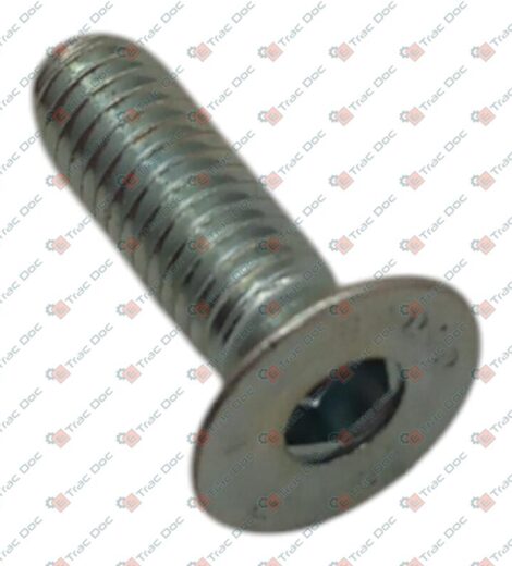 COUNTERSUNK HEAD SCREW - LANDINI - 3009431X1