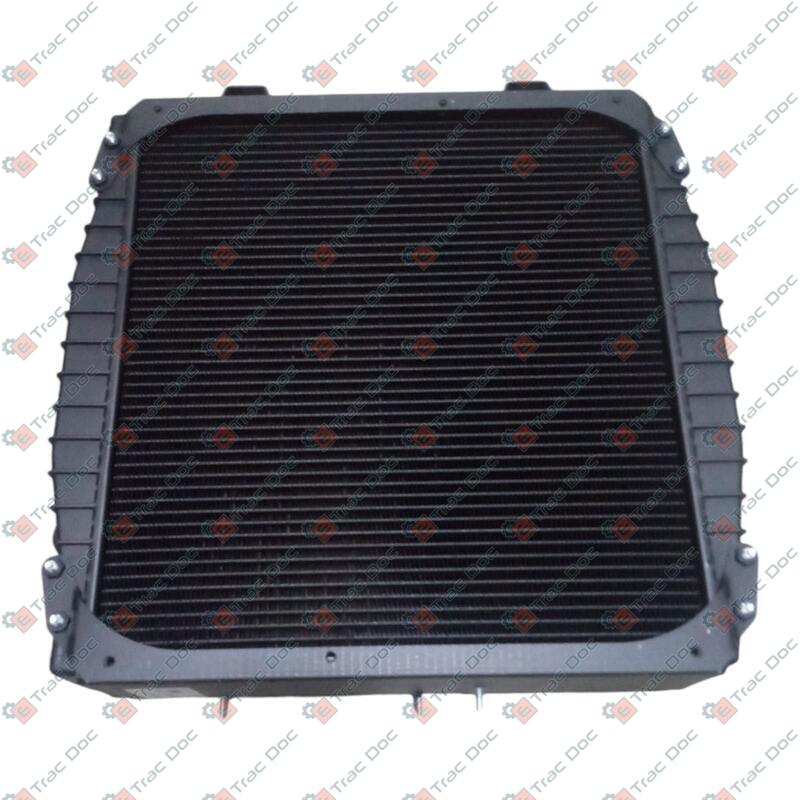 RADIATORE ACQUA - LANDINI - 3685424M92 - immagine 2