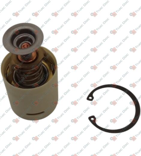 YANMAR WATER THERMOSTAT - LANDINI - 3695118M1