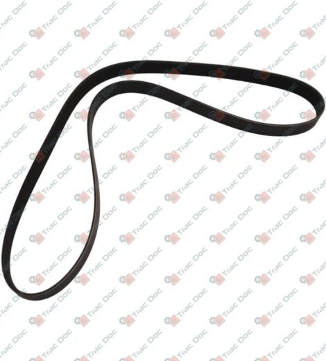 CINGHIA POLY-V - LANDINI - 6531777M1