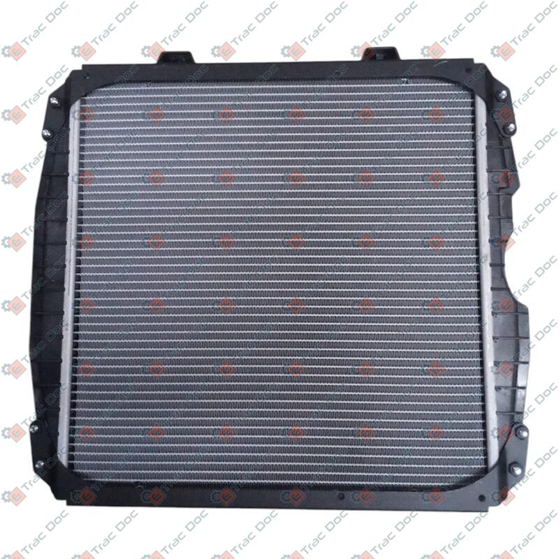 RADIATORE ACQUA - LANDINI - 6601486A3 - immagine 2