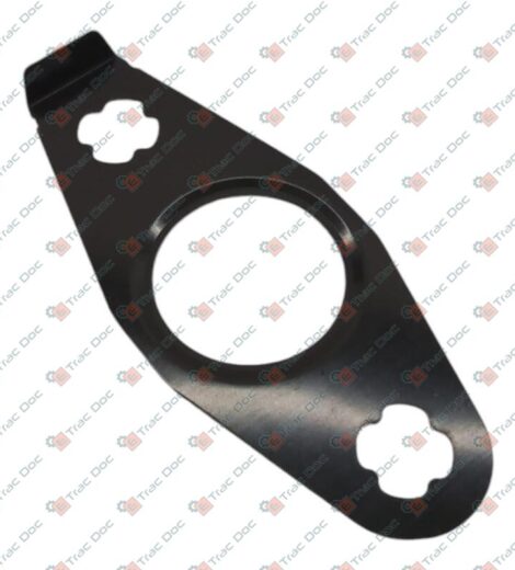 TURBINE OIL RECOVERY GASKET - LANDINI - 6632772A1