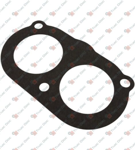 THERMOSTAT GASKET - LANDINI - 6677040A1