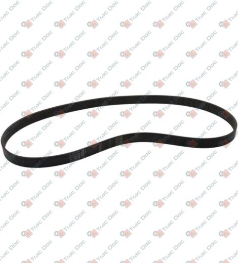 CINGHIA POLY-V DEUTZ - SAME - LAMBORGHINI - HURLIMANN - DEUTZ FAHR - 01184124