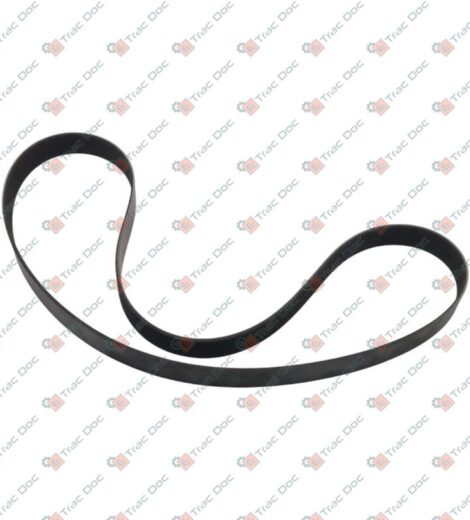 CINGHIA POLY-V - CLAAS - 0026193331