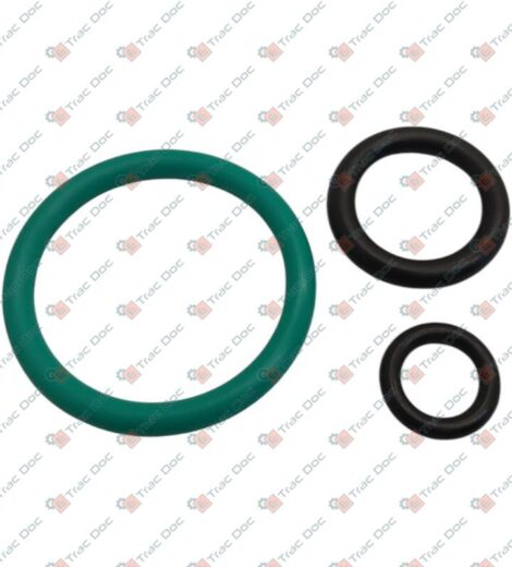 SERIE GUARNIZIONI DISTRIBUTORE SOLLEVATORE CON SFORZO CONTROLLATO - ANTONIO CARRARO - 26607240