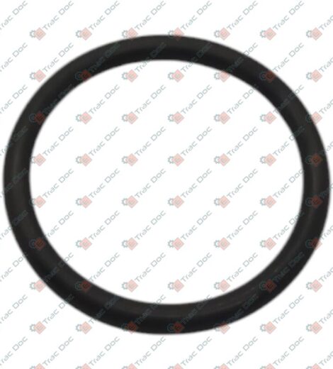 ANELLO OR - John Deere - T77932