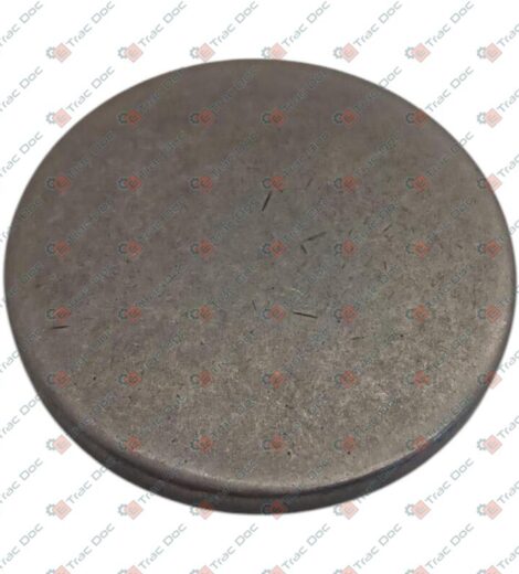 PIATTELLO SATELLITE RIDUTTORE RUOTA - LANDINI - 3557987M2