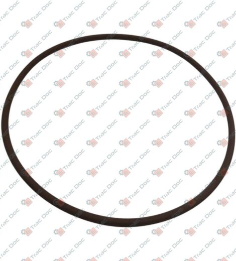 ANELLO OR SUPPORTO DISTRIBUZIONE - LANDINI - 6516160M1