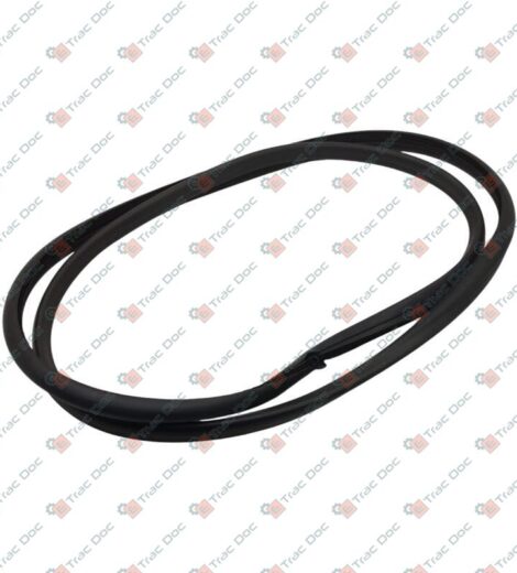 GLASS SEAL LEFT SIDE LENGTH 3400 mm. - CNH Originale - 5108671