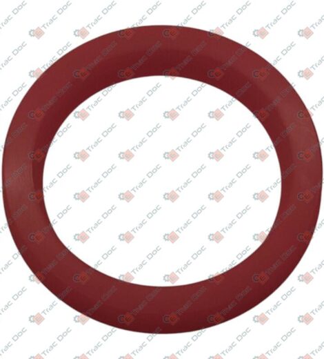 GUARNIZIONE CILINDRETTO ATTUATORE FRENO - GOLDONI - 06370594