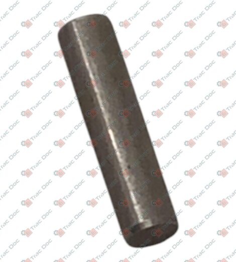 TRAILER BRAKE CONTROL CABLE FIXING PIN - LANDINI - 3015133X1