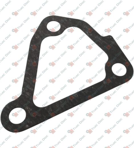 YANMAR ENGINE HEAD WATER FLANGE SEAL - LANDINI - 3664432M1