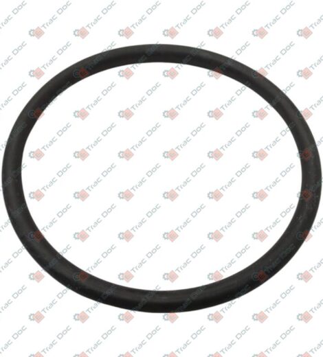 ANELLO OR VALPADANA - LANDINI - VP342624