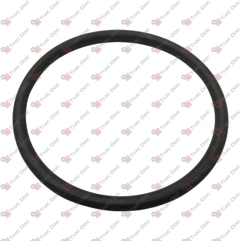 ANELLO OR VALPADANA - LANDINI - VP342624