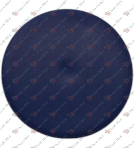 ROUND BLUE PLATE DIAMETER 20 mm. - BCS - F0852550220