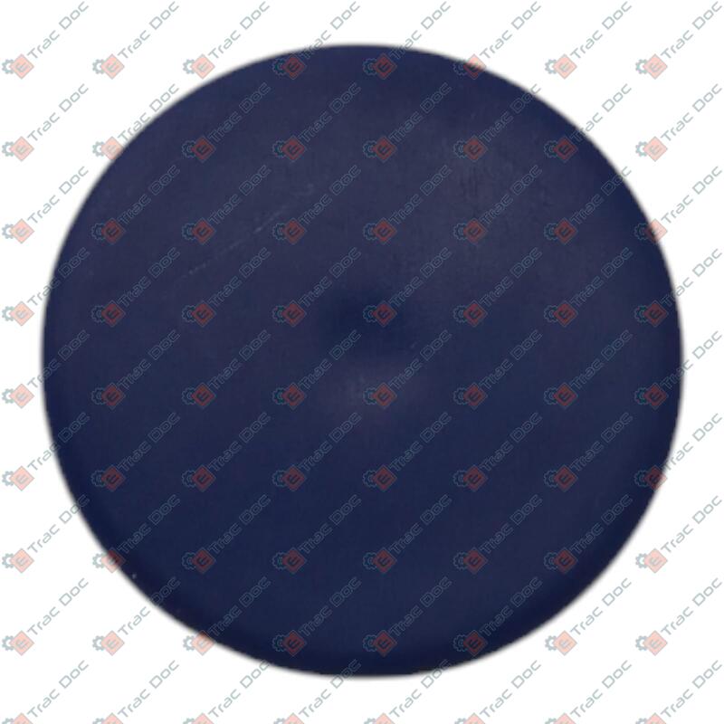ROUND BLUE PLATE DIAMETER 20 mm. - BCS - F0852550220