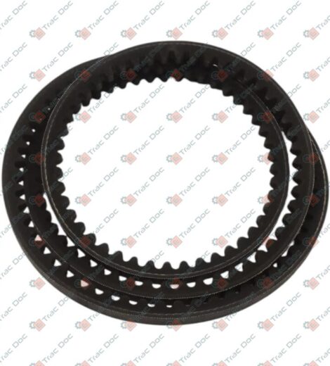 CINGHIA TRAPEZIOIDALE DENTATA - GOLDONI - 06330029