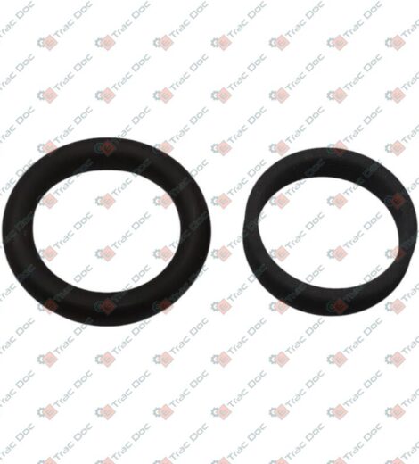 SEALING RING KIT DIAMETER 12 mm. - GOLDONI - 06370444