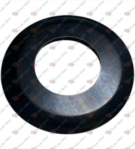 ANELLO PARAPOLVERE - BCS - F0190012234