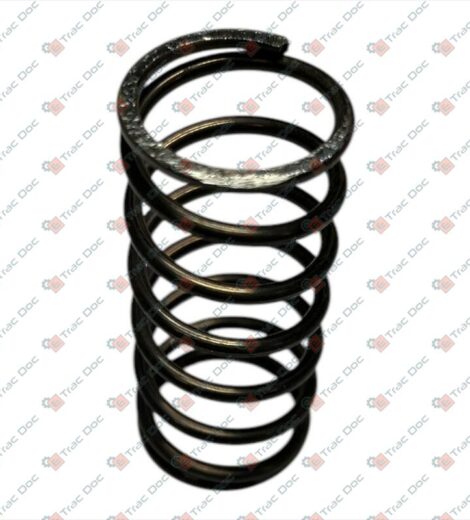 MOLLA INTERNA VALVOLA TESTA MOTORE - AFTERMARKET - 2.4019.194.0