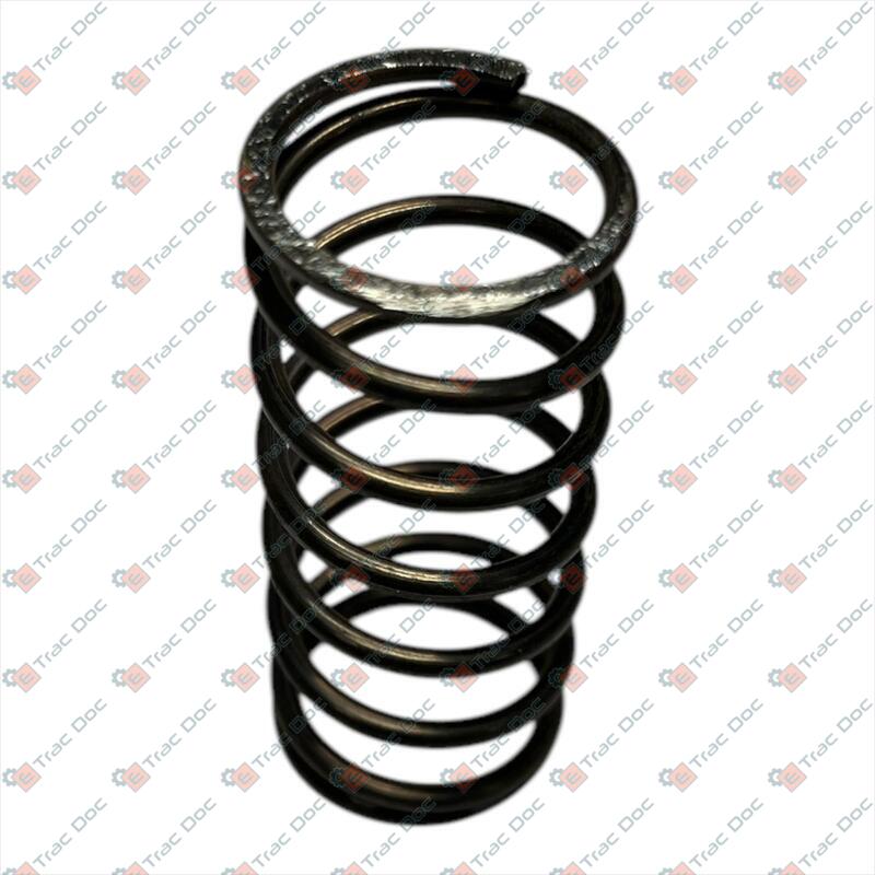 MOLLA INTERNA VALVOLA TESTA MOTORE - AFTERMARKET - 2.4019.194.0