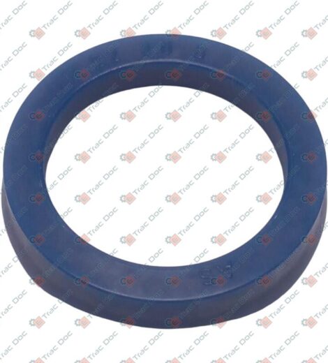 GUARNIZIONE BALSELE 22x30x6 CILINDRO IDROGUIDA - LANDINI - 3686404X1